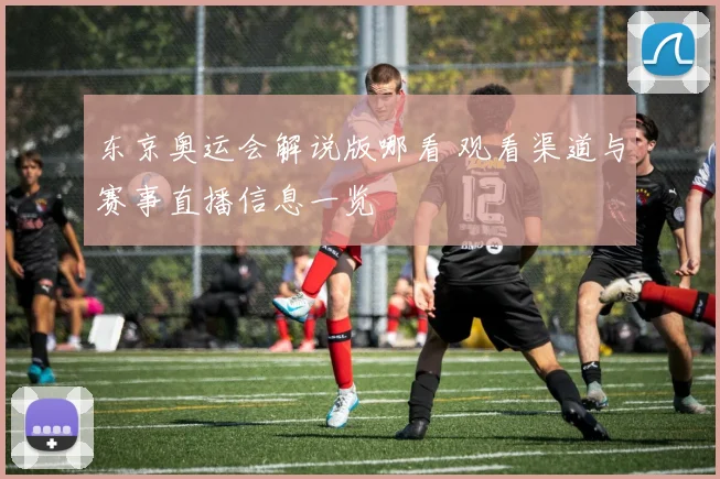 东京奥运会解说版哪看 观看渠道与赛事直播信息一览