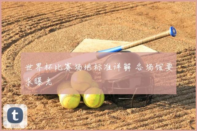 世界杯比赛场地标准详解 各场馆要求曝光